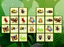Conectați insectele
