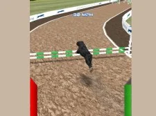 Simulator de curse pentru câini