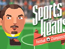 Șefii de sport: Campionatul de fotbal 2016